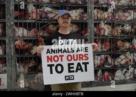 Miami, Stati Uniti. 9 febbraio 2024. Atmosfera di strada durante la campagna di marketing "Hell on Wheels" di PETA Guerilla al Mary Brickell Village nel centro di Miami l'8 febbraio 2024, a Miami, Florida. (Foto di Michele Eve Sandberg/Sipa USA) credito: SIPA USA/Alamy Live News Foto Stock