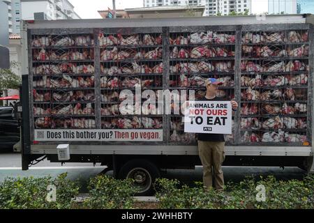 Miami, Stati Uniti. 9 febbraio 2024. Atmosfera di strada durante la campagna di marketing "Hell on Wheels" di PETA Guerilla al Mary Brickell Village nel centro di Miami l'8 febbraio 2024, a Miami, Florida. (Foto di Michele Eve Sandberg/Sipa USA) credito: SIPA USA/Alamy Live News Foto Stock