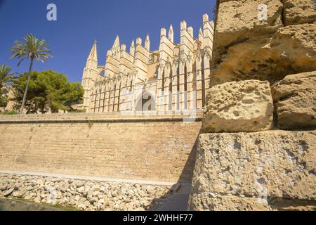 Catedral de Palma (la Seu)(s.XIV-XVI).Palma.Mallorca.Baleares.EspaÃ±a.. Foto Stock