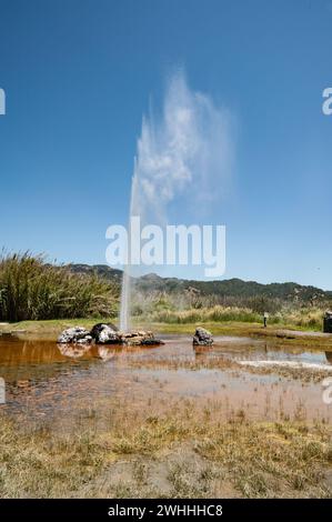 Napa Valley Foto Stock