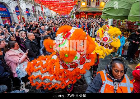 Londra, Regno Unito. 10 febbraio 2024. I ballerini dei leoni visitano i negozi e i ristoranti di Chinatown, Londra, per portare loro buona fortuna per il nuovo anno. Il 2024 è l'anno del drago. Crediti: Guy Bell/Alamy Live News Foto Stock