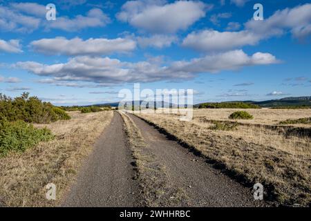 Riserva di caccia di Sonsaz Foto Stock