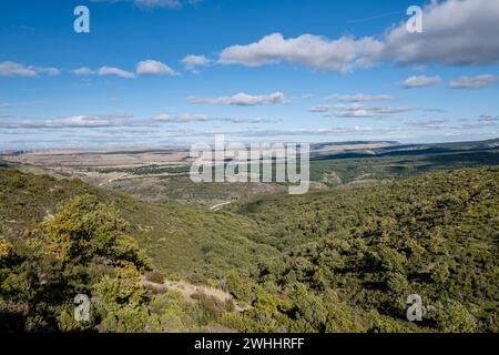 Riserva di caccia di Sonsaz Foto Stock