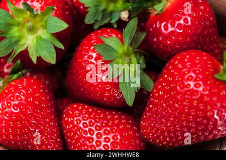 Fragole fresche in una ciotola Foto Stock