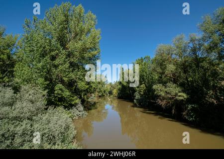 Parque de la Arboleda Foto Stock