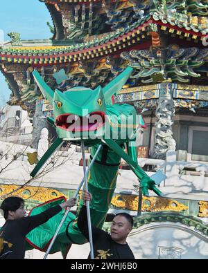 Yokohama, Giappone. 10 febbraio 2024. Lekuza, basato sulla danza del drago, si esibisce il primo giorno del Capodanno lunare cinese a Chinatown a Yokohama, nella prefettura di Kanagawa, in Giappone, sabato 10 febbraio 2024. Foto di Keizo Mori/UPI credito: UPI/Alamy Live News Foto Stock