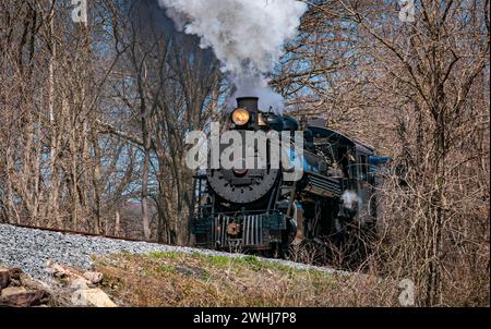 Vista leggermente più bassa di un treno a vapore passeggeri a scartamento ridotto restaurato che soffia fumo Foto Stock