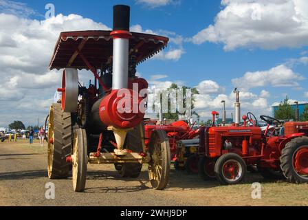 Trattore con motore a vapore Russell, Great Oregon Steam-up, Antique Powerland, Brooks, Oregon Foto Stock