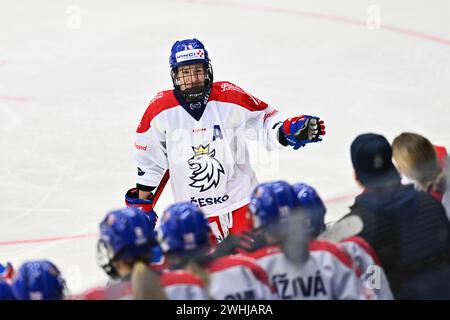 Liberec, Repubblica Ceca. 10 febbraio 2024. Euro Hockey Tour Women: Repubblica Ceca - Svizzera, Liberec, Repubblica Ceca, 10 febbraio 2024. Katerina Mrazova della Repubblica Ceca celebra il suo secondo obiettivo. Crediti: Radek Petrasek/CTK Photo/Alamy Live News Foto Stock