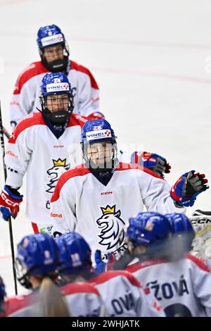 Liberec, Repubblica Ceca. 10 febbraio 2024. Euro Hockey Tour Women: Repubblica Ceca - Svizzera, Liberec, Repubblica Ceca, 10 febbraio 2024. Noemi Neubauerova della Repubblica Ceca celebra il secondo gol. Crediti: Radek Petrasek/CTK Photo/Alamy Live News Foto Stock