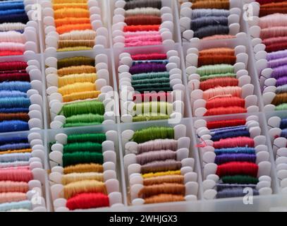 Scatola di selezione in plastica piena di bobine con filettature ricamate di diversi colori. Foto Stock