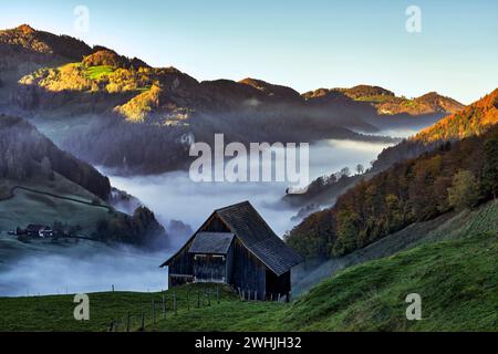 Svizzera, Soletta, Schwarzbubenland, Beinwil, Beinwil SO, Oberbeinwil, Unterbeinwil, Passwang, Passwang SO, Stucketeschürli Foto Stock