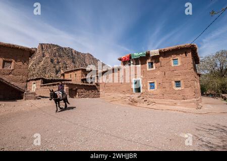 Cavaliere di fronte ad una casa tipica Foto Stock