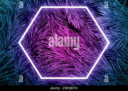 Sfondo naturale da rami di conifere con aghi lunghi. Colori neon e cornice luminosa esagonale Foto Stock