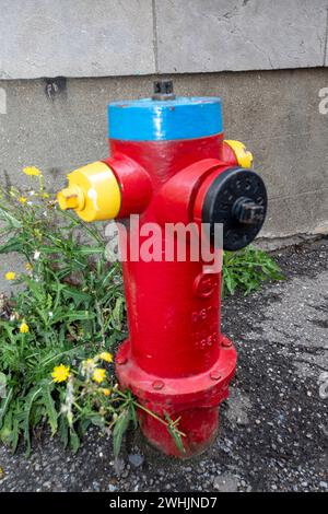 Un idrante colorato nel centro di Montreal-Canada Foto Stock