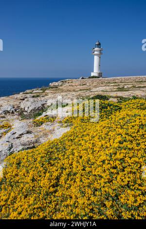 Faro di Cap Barbaria Foto Stock