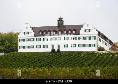 Castello di Hersberg con vigneto, Immenstaad, lago di Costanza, Baden-Wuerttemberg, Germania Foto Stock