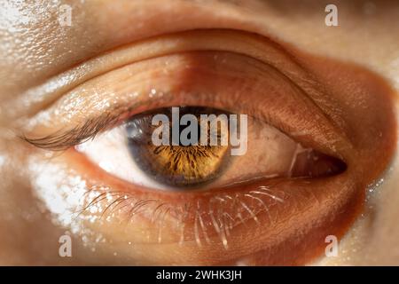 Descrizione: Occhio di colore marrone femminile con Lash lunghi primo piano. Anatomia strutturale. Dettagli macro Human Iris. Foto Stock