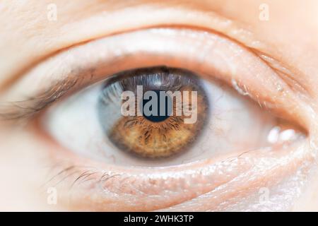 Descrizione: Occhio di colore marrone femminile con Lash lunghi primo piano. Anatomia strutturale. Dettagli macro Human Iris. Foto Stock