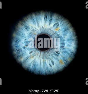 Descrizione: Foto macro dell'occhio umano su sfondo nero. Primo piano dell'occhio maschile di colore blu. Anatomia strutturale. Dettaglio Iris. Filamenti e pigmenti Foto Stock