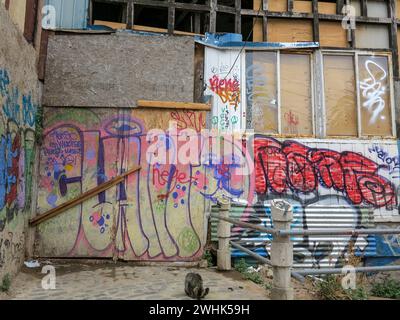 Valparaiso, Cile - 15 gennaio 2014 colorate case di Street art nella città portuale di Valparaiso, Patrimonio dell'Umanità dell'UNESCO, in Cile, gli artisti locali utilizzano Foto Stock