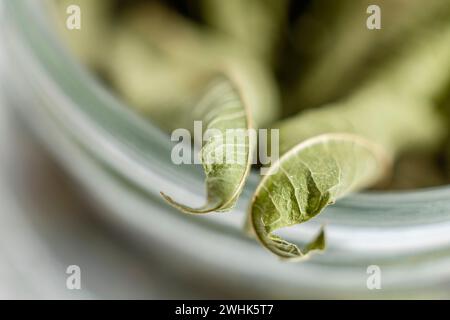 Foglie secche di Aloysia citrodora Foto Stock