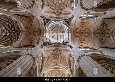 Crucero de la catedral Foto Stock