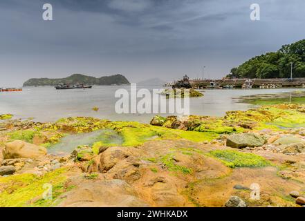 Vista mare di un litorale di grandi massi ricoperti di alghe verdi con barche in mare di fronte a un'isola e un molo nella cornice destra Foto Stock