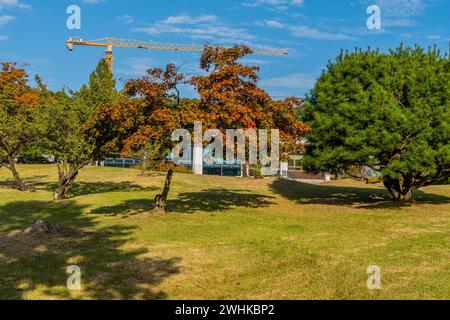 Paesaggio di un bellissimo parco sotto il cielo blu con canne da costruzione sulle cime degli alberi sullo sfondo della Corea del Sud Foto Stock