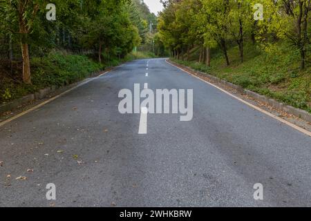 Strada pavimentata rurale a due corsie fiancheggiata da lussureggianti vegetazioni in campagna con telecamere a circuito chiuso in lontananza nella Corea del Sud Foto Stock