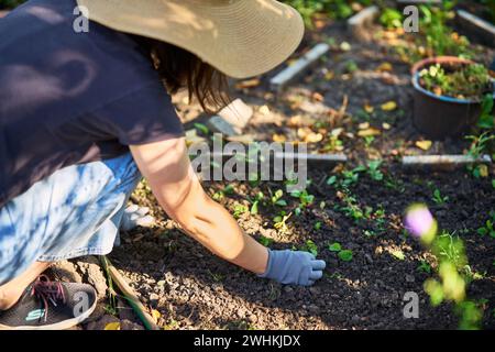 Giardiniere donna che lavora nel giardino domestico piantando colture e prepara il terreno per la piantagione Foto Stock