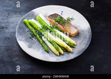 Asparagi verdi e bianchi cotti al vapore con filetto di salmone ed erbe aromatiche serviti da primo piano su un piatto di design con spazio per copiare Foto Stock