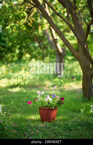 La pentola con fiori si trova sull'erba verde nel giardino con spazio per copiare. Sfondo naturale. Foto Stock