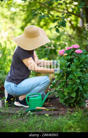 Donna giardiniere in cappello e guanti piante fiori in giardino. Giardinaggio e floricoltura Foto Stock