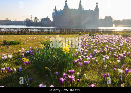 Vista sul castello di Frederiksborg a Hillerod, Danimarca. Bellissimo lago e giardino con crocus e narcisi in primo piano Foto Stock