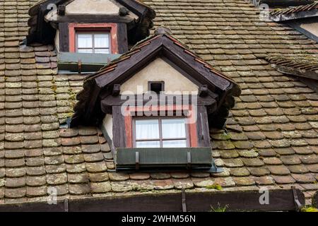 Finestre dormer nel quartiere dei pescatori di Ulm, Germania Foto Stock