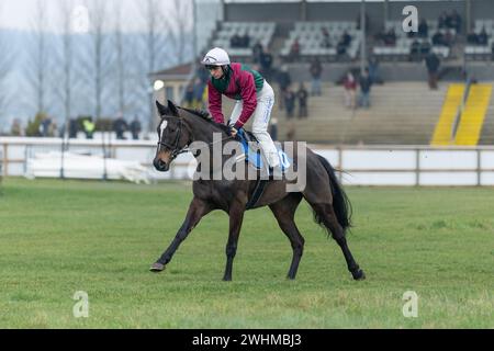 2 marzo 2022 Racing a Wincanton Foto Stock