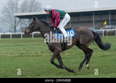 2 marzo 2022 Racing a Wincanton Foto Stock