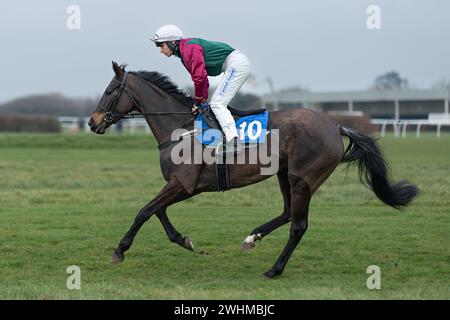 2 marzo 2022 Racing a Wincanton Foto Stock