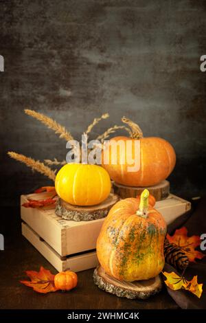 Concetto di Halloween o giorno del Ringraziamento, vendemmia autunnale. Festività autunnali decorazioni stagionali con zucche e foglie su ruggine Foto Stock
