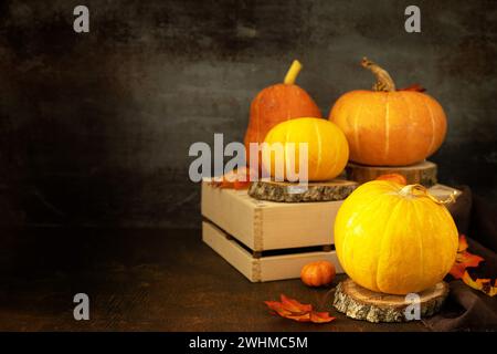 Decorazioni stagionali autunnali festive con zucche e foglie su uno sfondo rustico in legno. Concetto di Halloween o del Ringraziamento Foto Stock