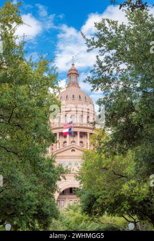 Il palazzo del governo dello stato del Texas ad Austin, Texas, Stati Uniti. Foto Stock