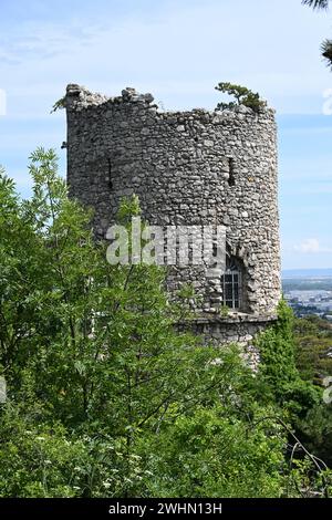 Torre nera di rovina artificiale, Austria Foto Stock