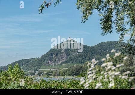 Roccia del drago Foto Stock