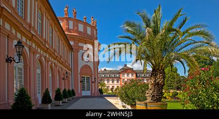 Palazzo Biebrich con palme e la rotonda dal lato del parco del palazzo, Wiesbaden, Germania Europa Foto Stock