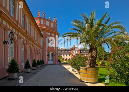 Palazzo Biebrich con palme e la rotonda dal lato del parco del palazzo, Wiesbaden, Germania Europa Foto Stock