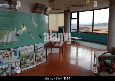 Vista all'interno del primo piano del centro di osservazione della gru Arasaki, della città di Izumi, Kagoshima, Kyushu, Giappone, - poster e area di osservazione resistente alle intemperie. Foto Stock