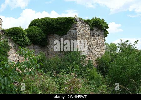 Castello rovina Schrattenthal, Austria Foto Stock