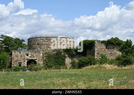 Castello rovina Schrattenthal, Austria Foto Stock