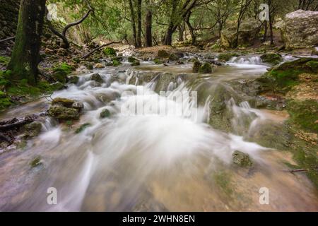 Torrente es Freu. Orientare Foto Stock